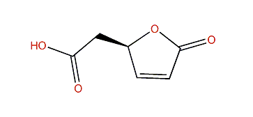 2-Oxo-2,5-dihydrofuran-5-acetic acid